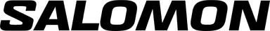 salomon logo